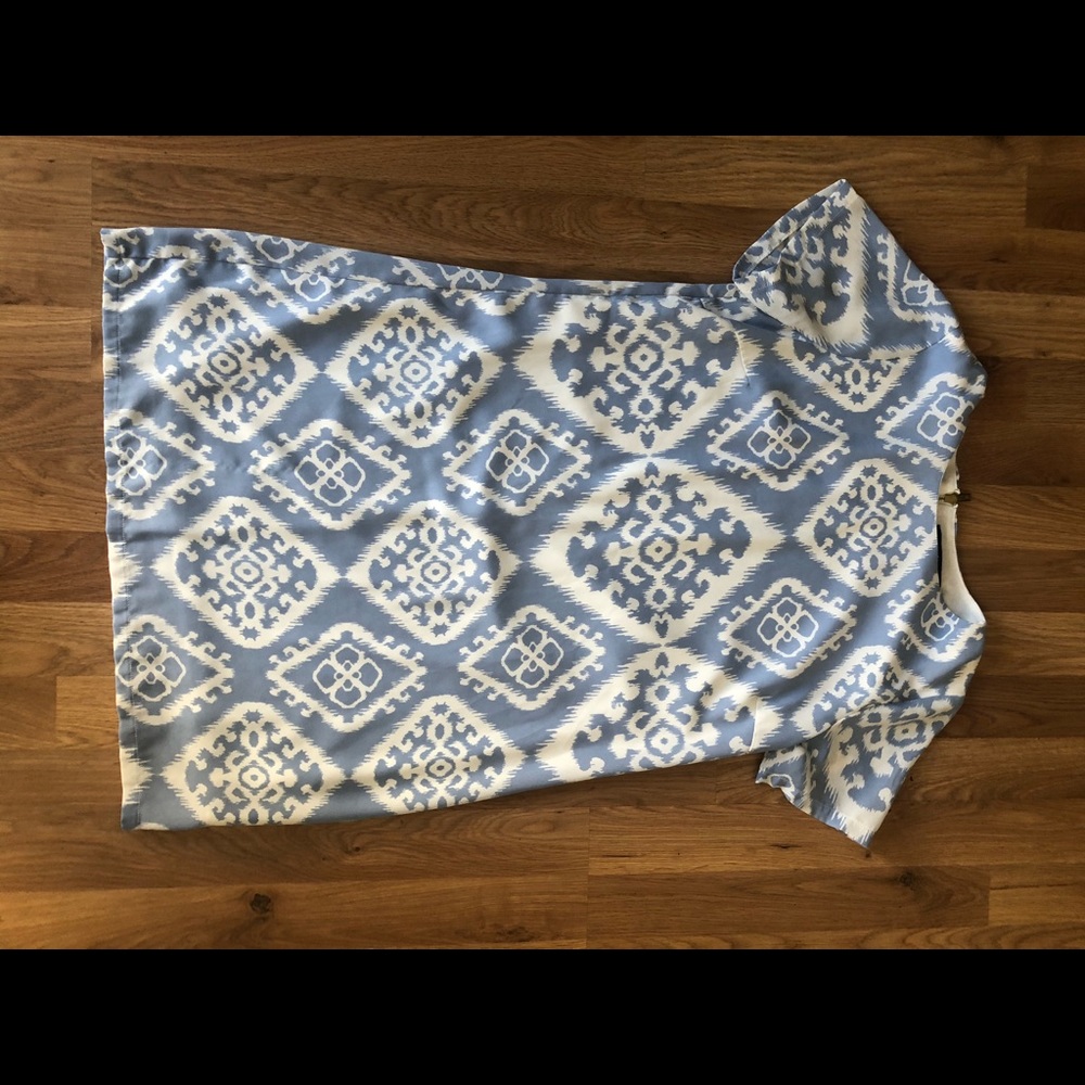 Blue and White Spring Dress